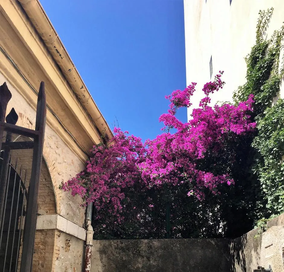 Hotel Diana Vence